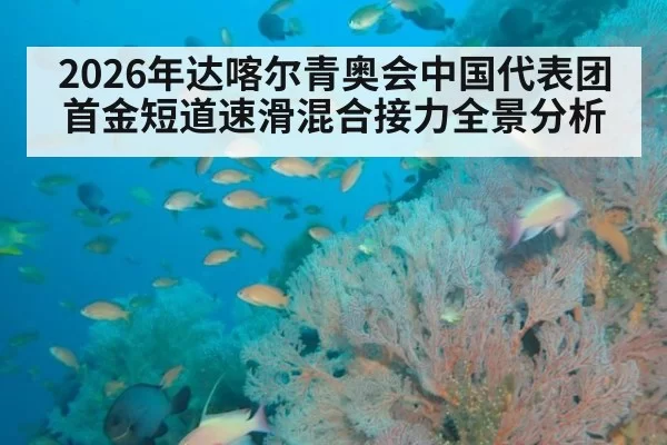 2026年达喀尔青奥会中国代表团首金短道速滑混合接力全景分析